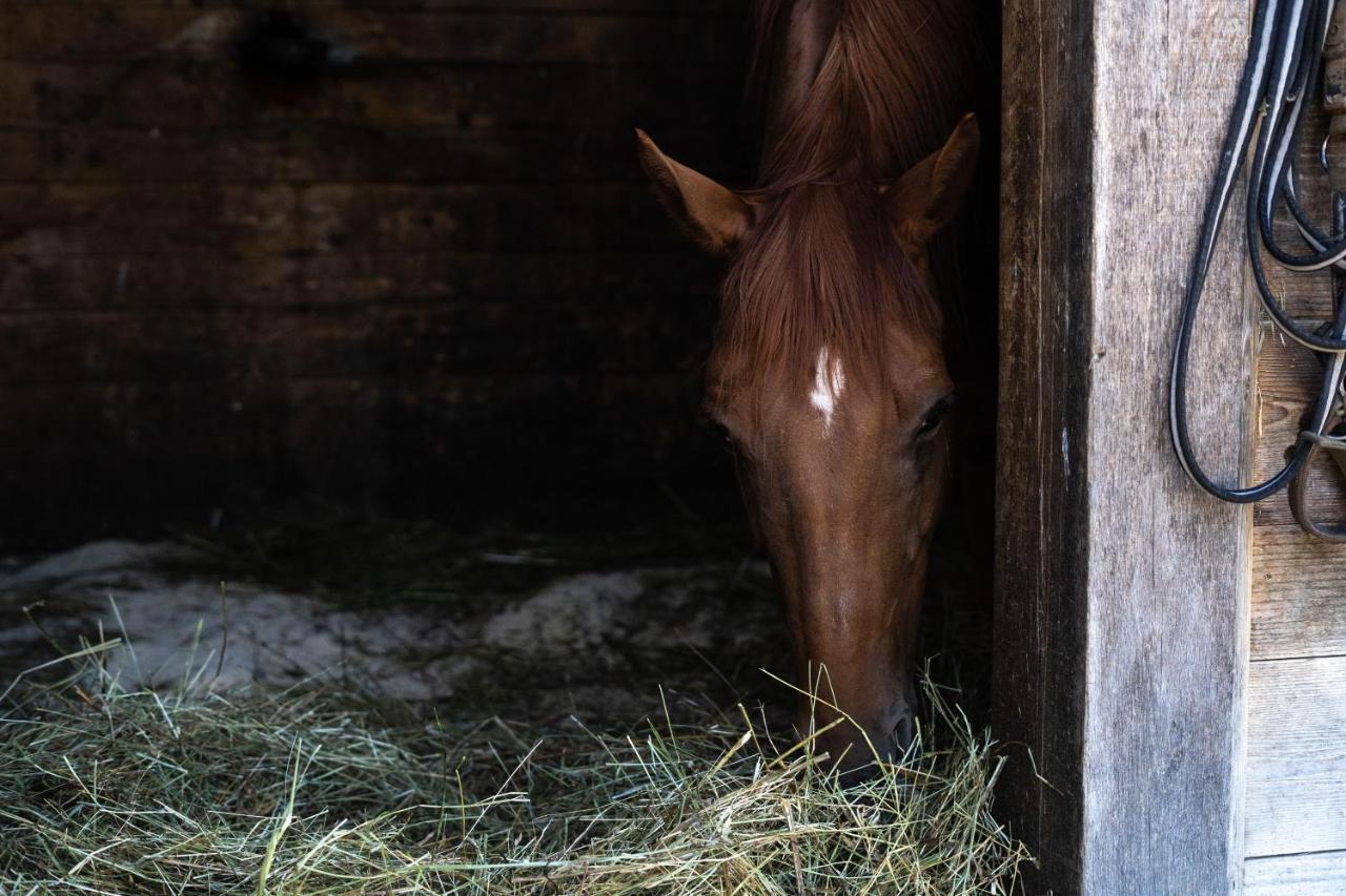 Horse Farm Pr' Kolenc